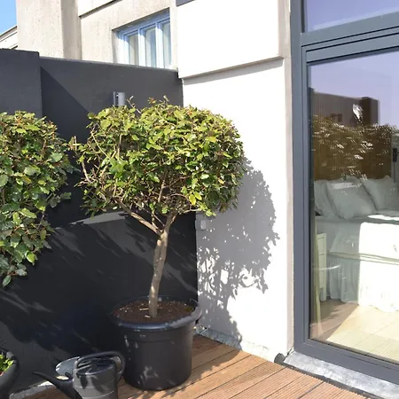 Oranje Nassau Aan Zee ザントフォールト